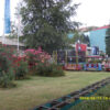 pic2